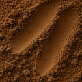 Hojicha - Conventional - Shizuoka
