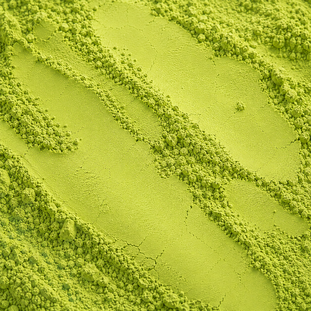 Premium Matcha - Organic - Eastern China (LEO)