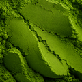 Ceremonial Matcha - Asa - Organic - Uji