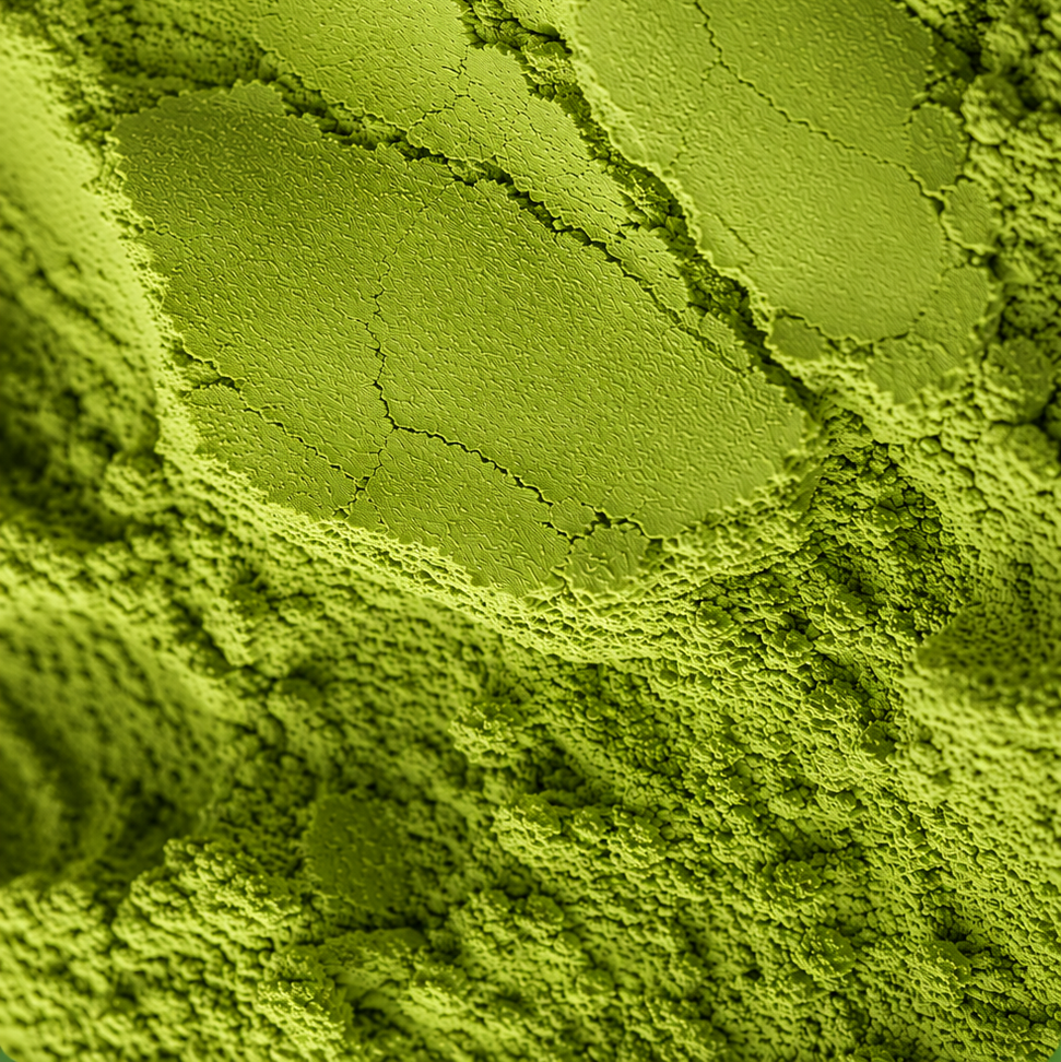 Premium Matcha - Conventional - South China (DKY)